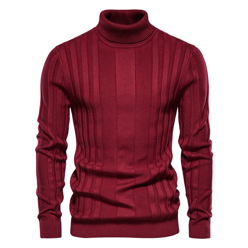 Pull homme maille côtelée col roulé manches longues 2