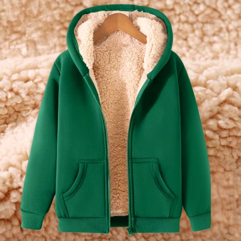 Sweat à capuche homme zippé doublé polaire à poches zippées 10