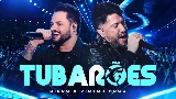 Miniature de la vidéo Tubarões - Ao Vivo
