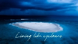 Miniature de la vidéo Cyclones