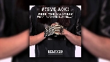 Miniature de la vidéo Free The Madness - Steve Aoki & Max Styler Remix