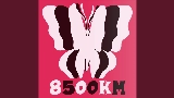 Miniature de la vidéo 8500km