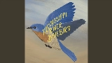 Miniature de la vidéo Mississippi River Bluebird