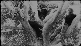 Miniature de la vidéo Coco Gauff