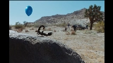 Miniature de la vidéo What You Want (feat. Teezo Touchdown)