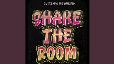 Miniature de la vidéo Shake The Room
