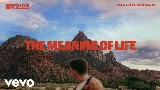 Miniature de la vidéo The Meaning Of Life