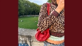 Miniature de la vidéo Leopard