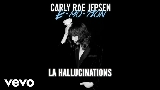 Miniature de la vidéo LA Hallucinations