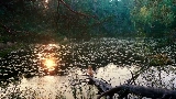 Miniature de la vidéo Mother's Love Conquers All