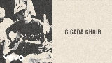 Miniature de la vidéo Cicada Choir
