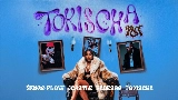 Miniature de la vidéo Tokischa RMX