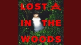 Miniature de la vidéo Lost In The Woods