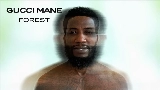 Miniature de la vidéo Forest