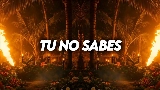Miniature de la vidéo Tu No Sabes