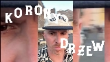 Miniature de la vidéo Korony drzew