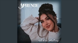Miniature de la vidéo Aprende