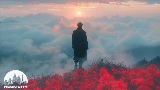 Miniature de la vidéo SOL