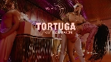 Miniature de la vidéo Tortuga