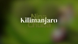 Miniature de la vidéo Kilimanjaro