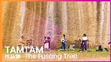 Miniature de la vidéo 扶桑樹 - The Fusang Tree