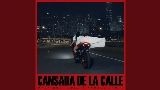 Miniature de la vidéo Cansada De La Calle
