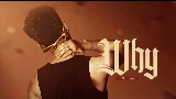 Miniature de la vidéo WHY