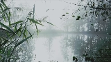 Miniature de la vidéo reverie