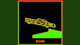 Miniature de la vidéo ECHE