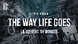 Miniature de la vidéo The Way Life Goes